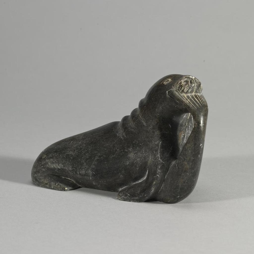 Saima Makima - Seal Eating A Fish