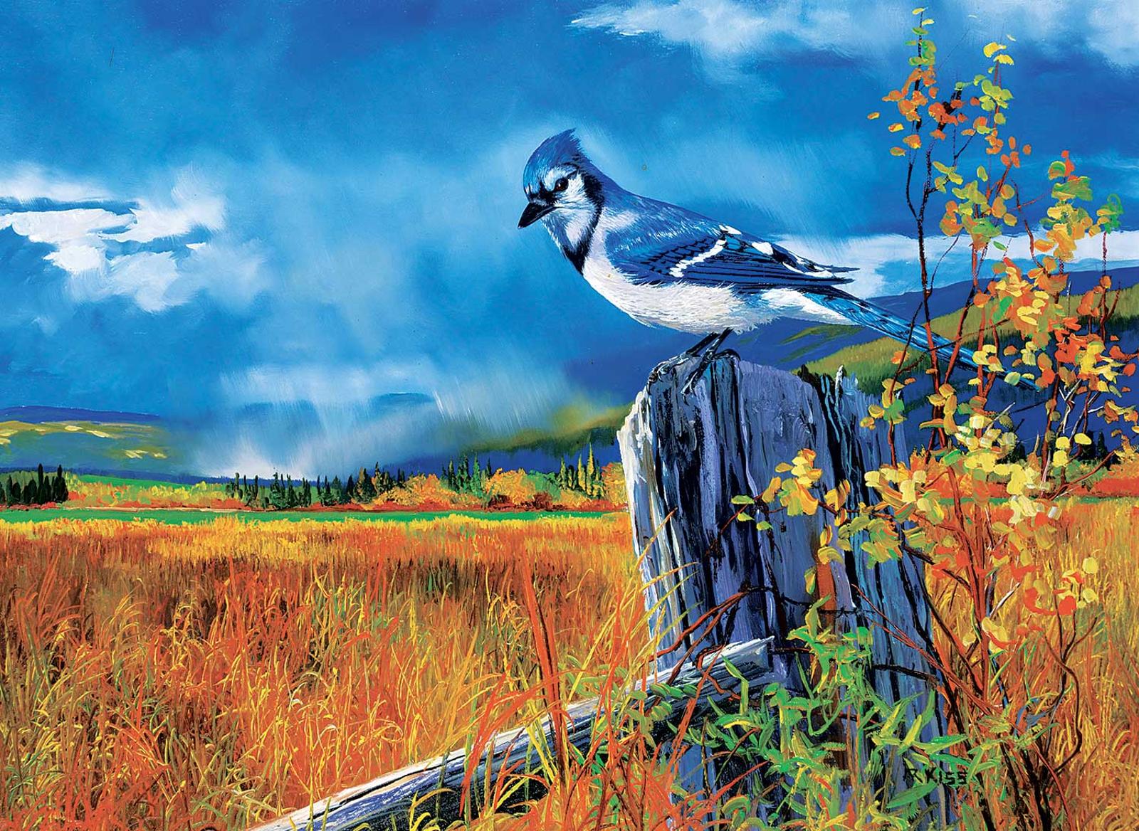 Andrew Kiss (1946) - Blue Jay