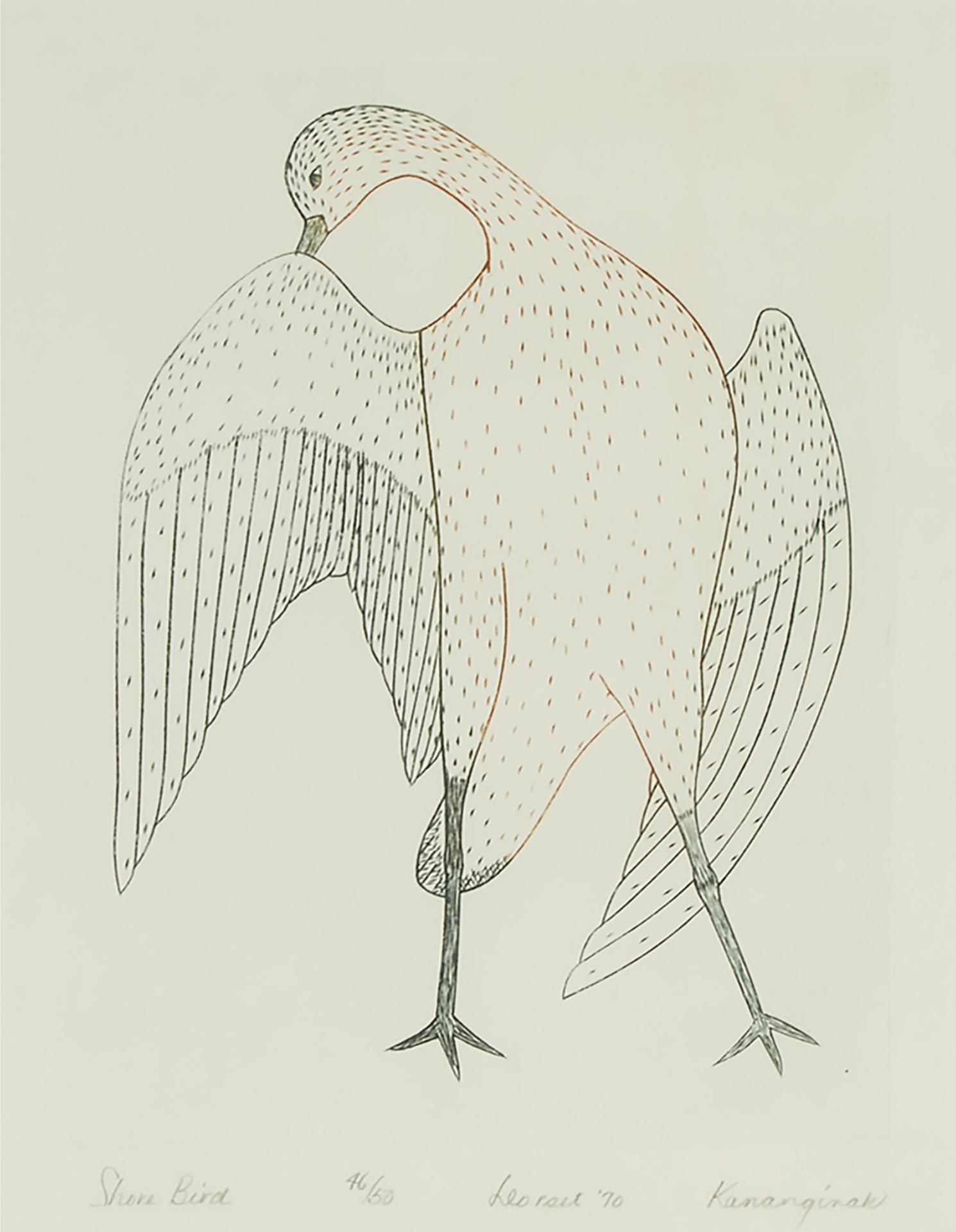 Kananginak Pootoogook (1935-2010) - Shore Bird