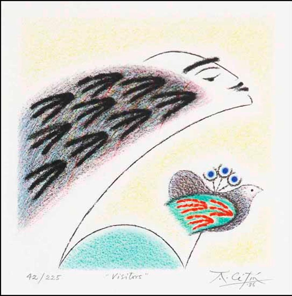 Anton Cetín (1936) - Visitors (01842/2013-139)