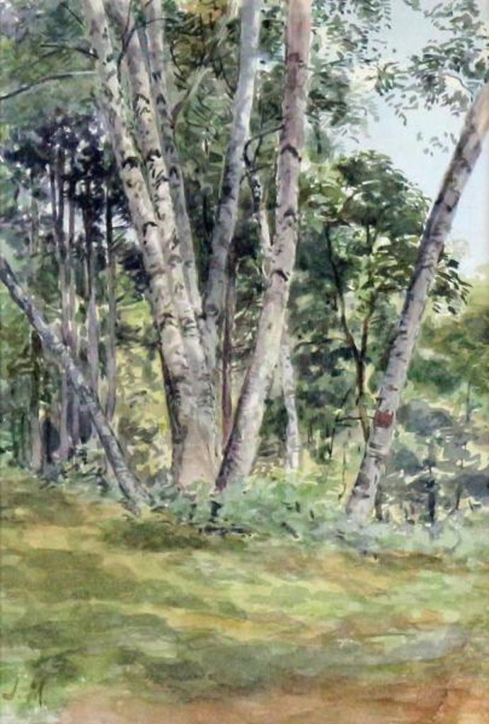 James Edward Hervey (J.E.H.) MacDonald (1873-1932) - Birch Woods; 1909