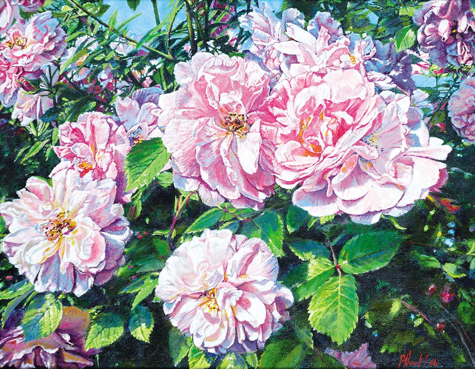 Patrick Russell Hurst - Untitled - 'Canadian Explorer John Davis' Climbing Rose I