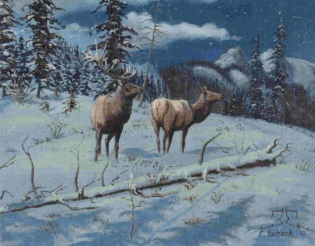 Elmer Schock (1970) - Elk At Night; 1975