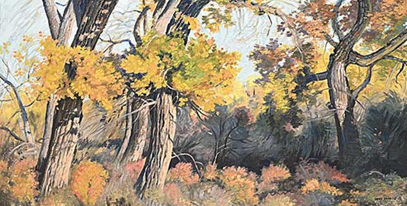 Dean R. Francis (1946) - The Cottonwoods