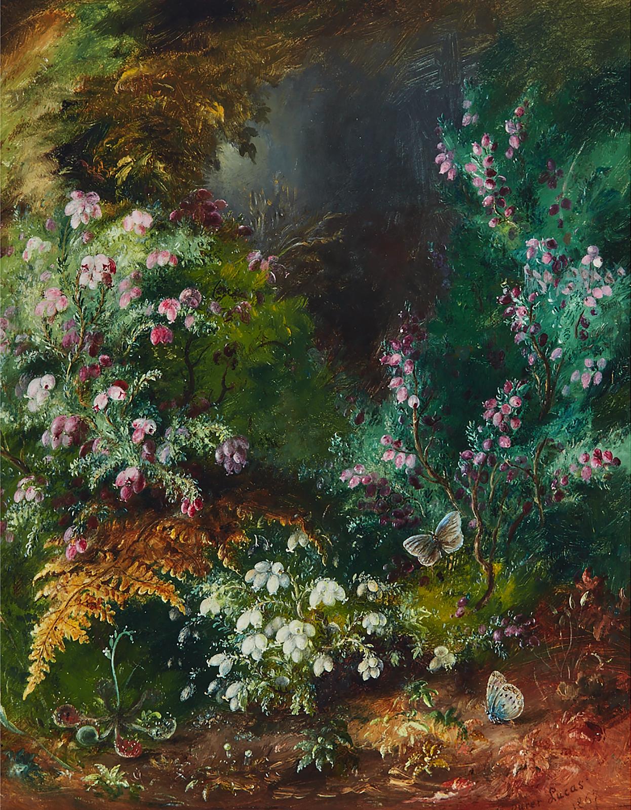 Albert Durer Lucas (1828-1918) - Spring Flowers On A Mossy Bank With Cross-Leaved Heather, Bladder Campion, Ferns And Butterflies; Primroses On A Mossy Bank, Circa 1867