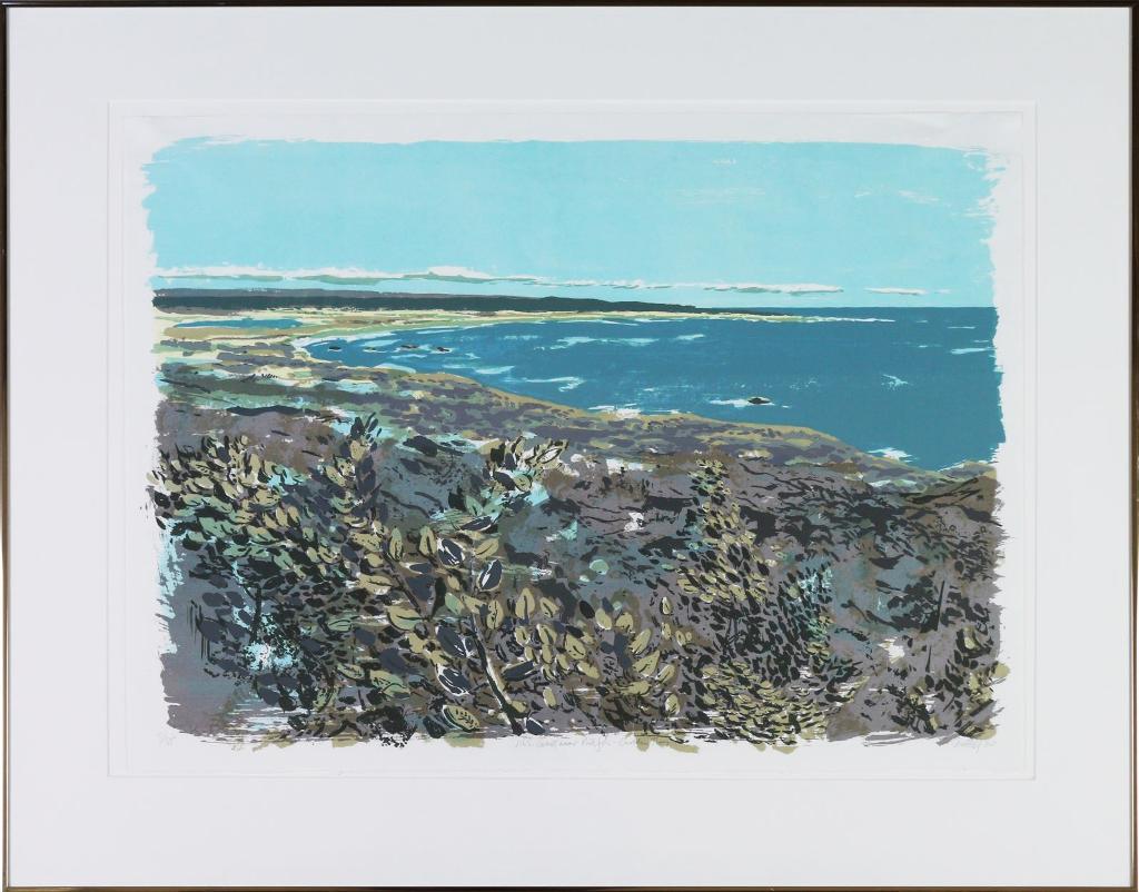 R. Savage - N.S. Coast Near Port John, Cadden Bay