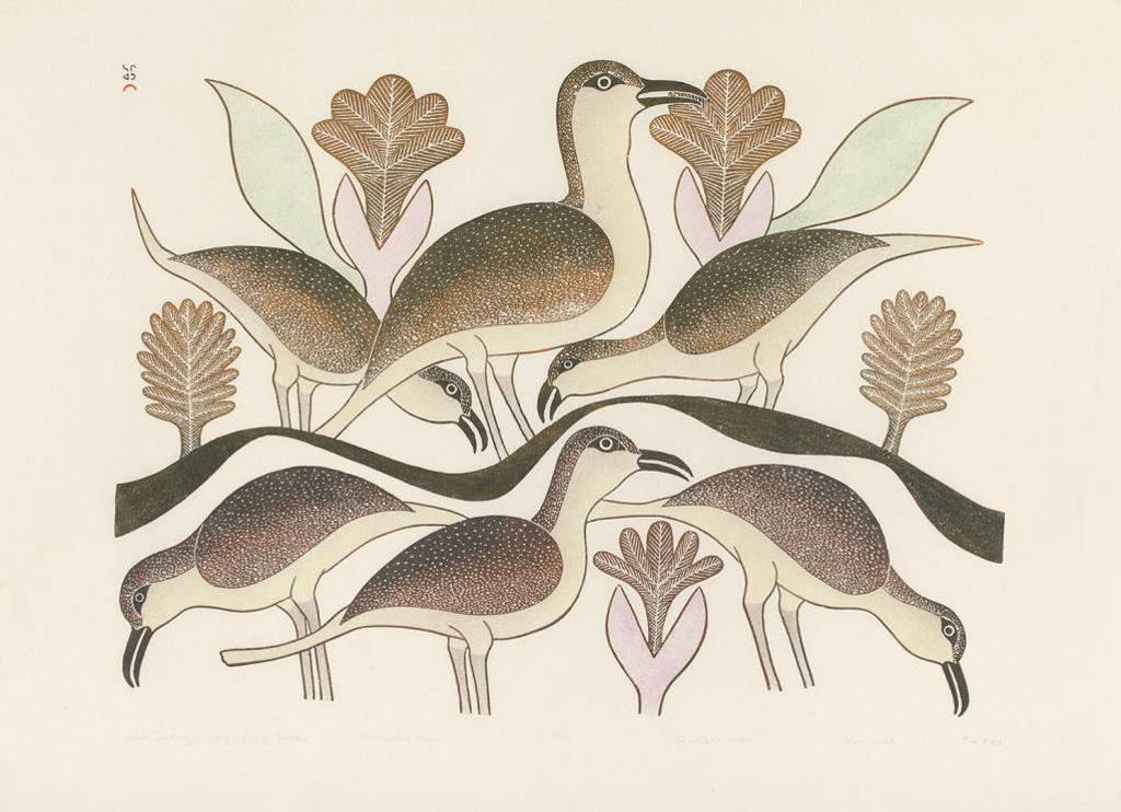 Kenojuak Ashevak (1927-2013) - Untitled