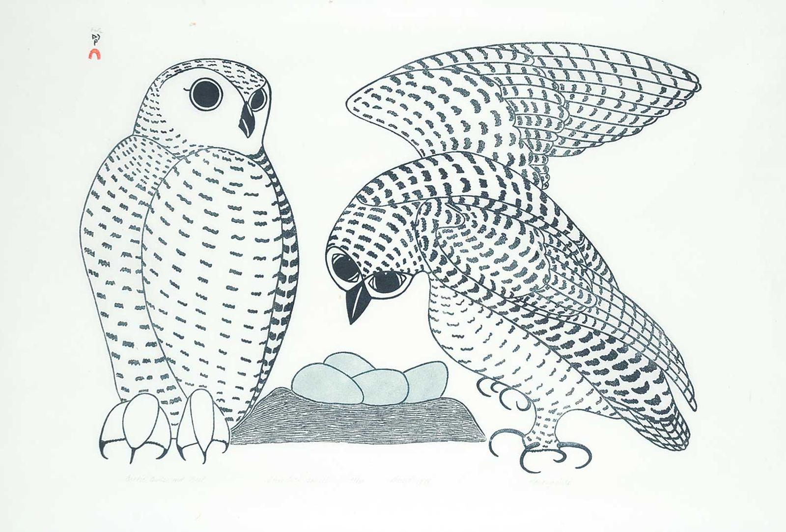 Pootoogook (1887-1958) - Artic Owls and Nest #21/50