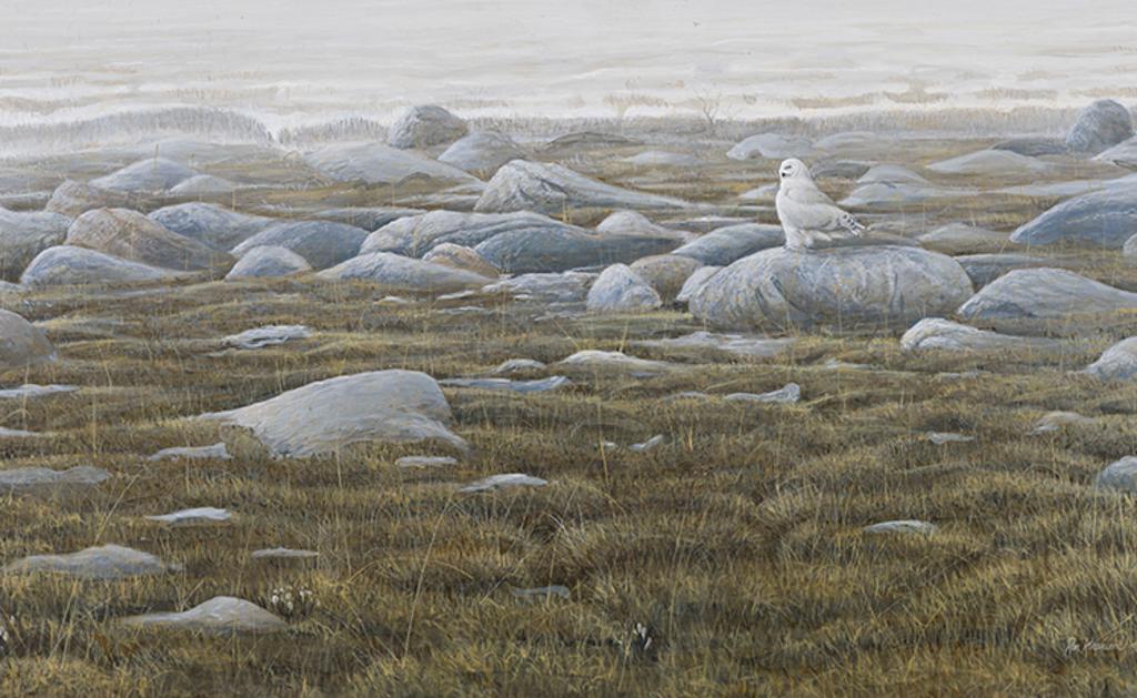 Ron Kingswood (1959) - Snowy Owl