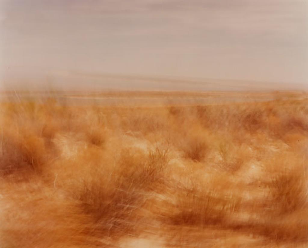 Alex Neumann - Red Bluff, Texas (03651/60)