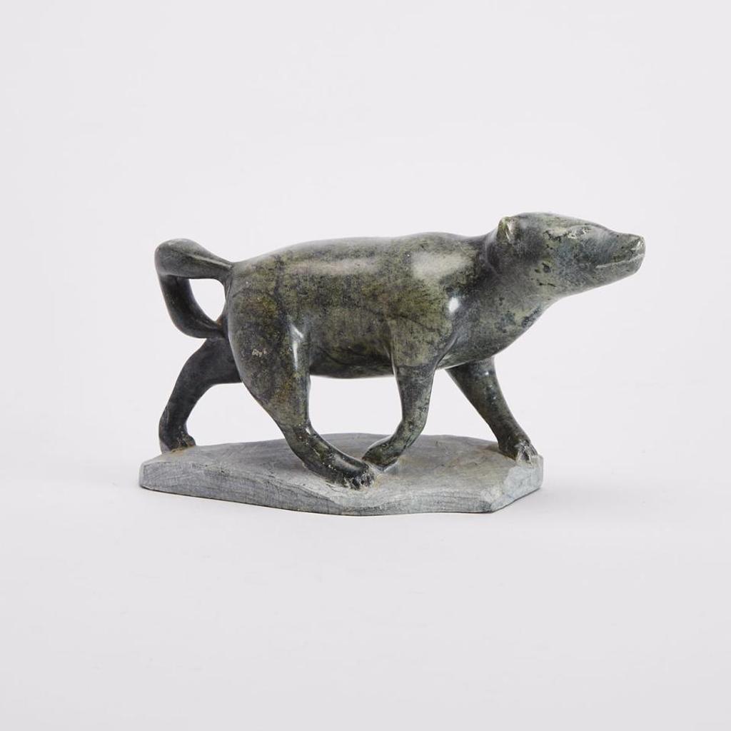 Thomassie Akpik - Dog