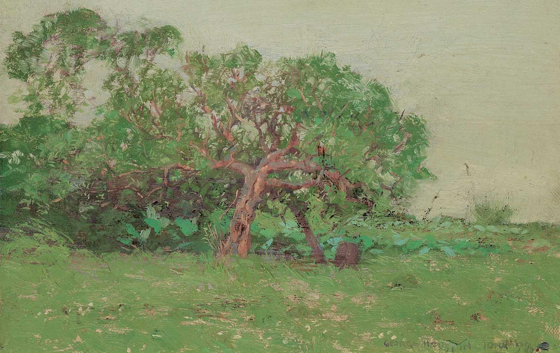 Georges Houston - Iona