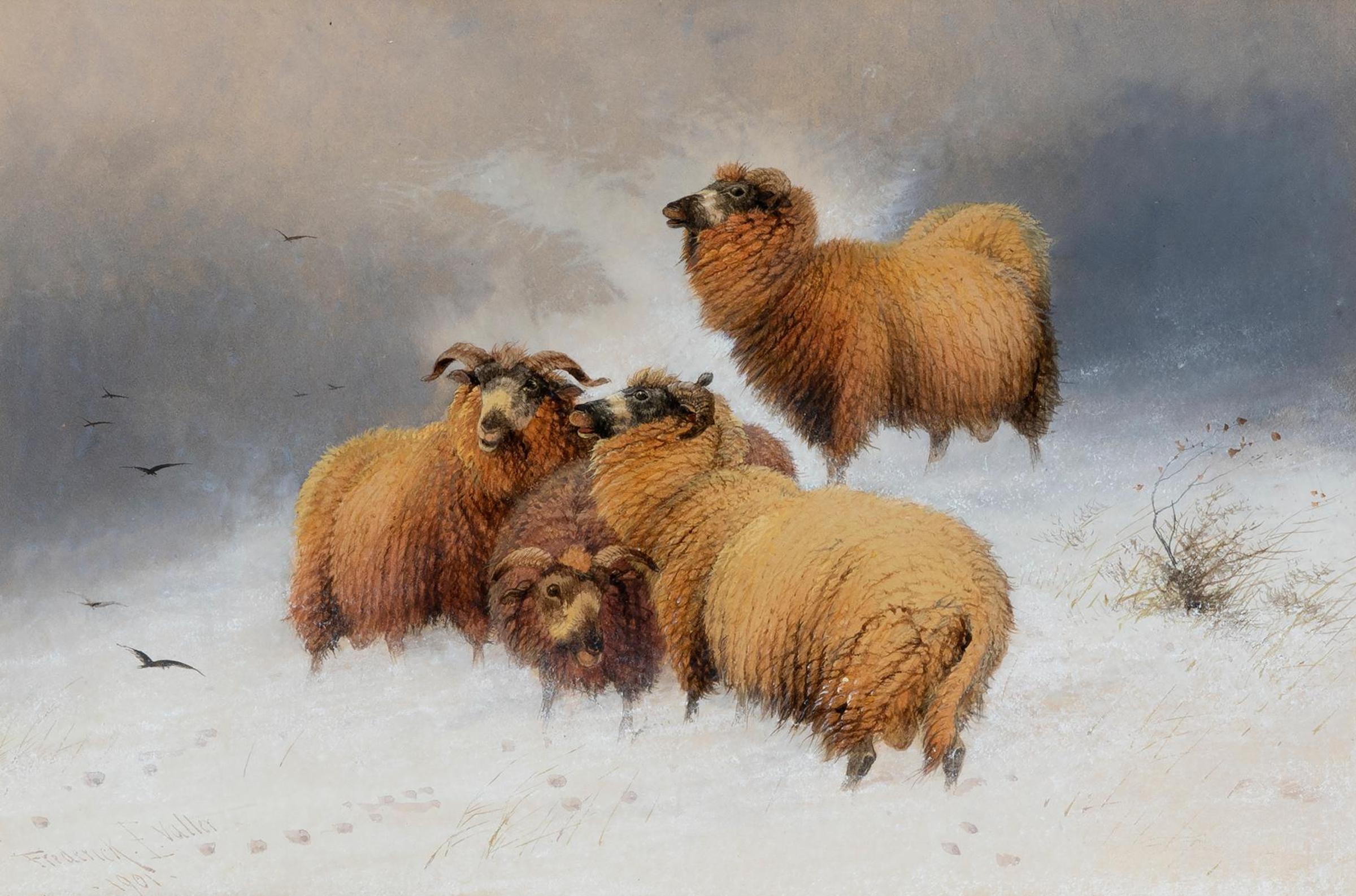 Frederick E. Valter (1850-1930) - Sheep in Winter