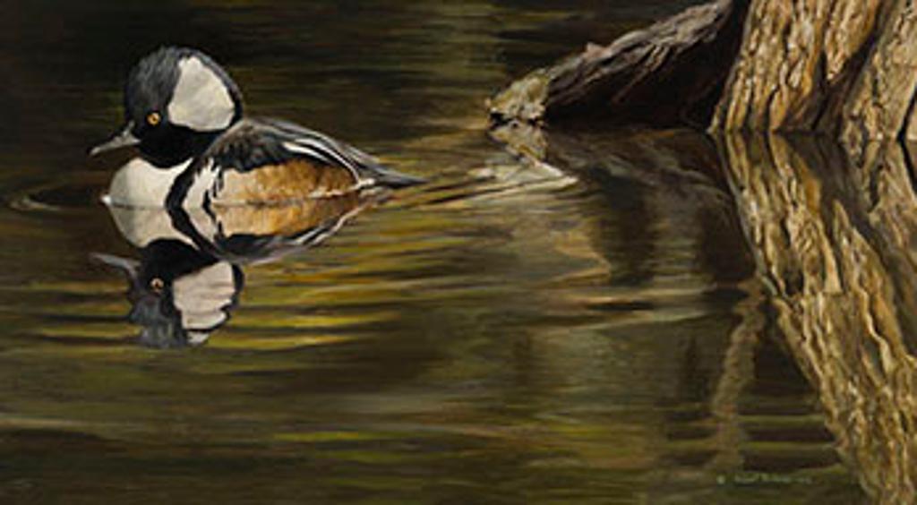 Robert Mclellan Bateman (1930-1922) - Hooded Merganser