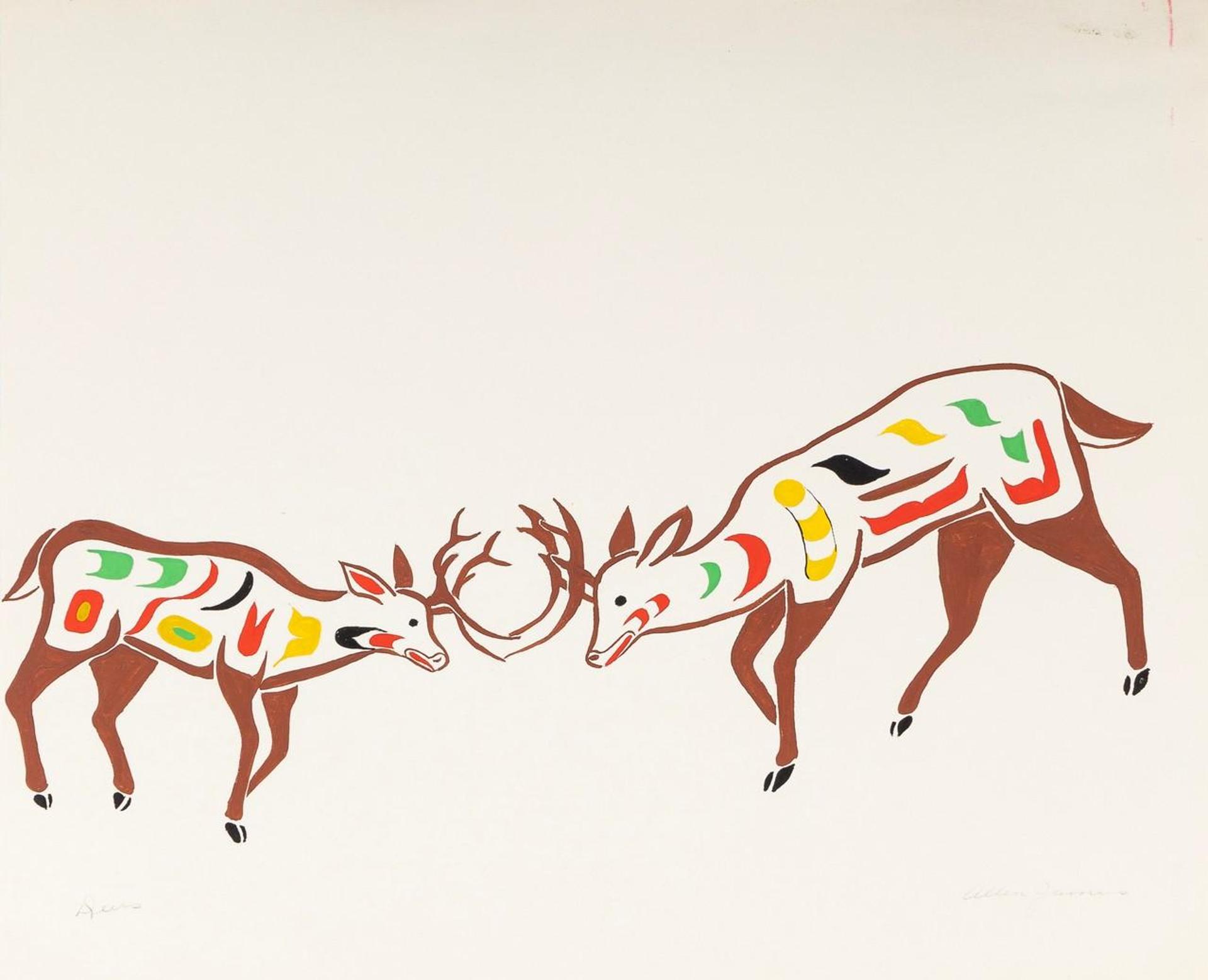 Allen James - Deer's