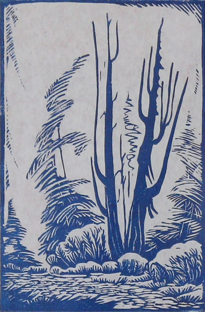 Margaret Dorothy Shelton (1915-1984) - Western Cedars; 1982