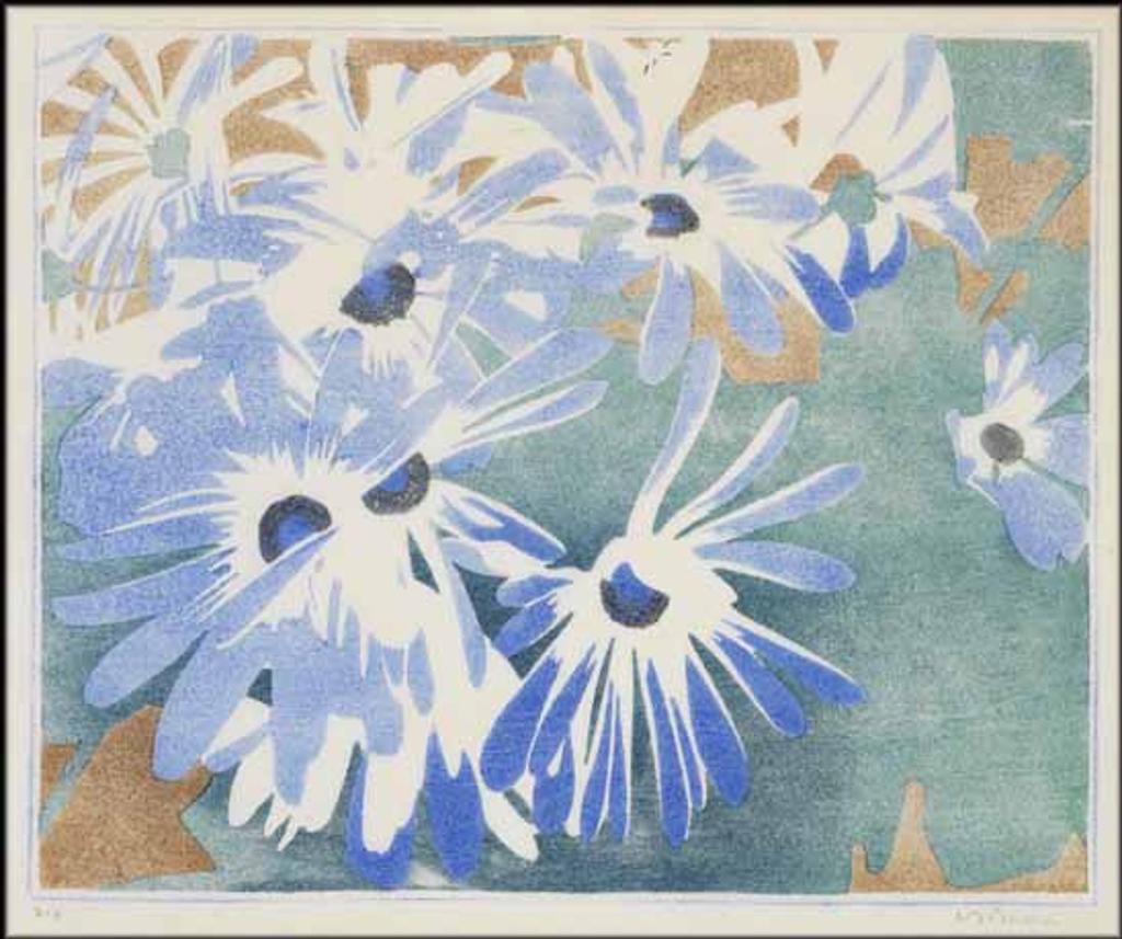 Walter Joseph (W.J.) Phillips (1884-1963) - Cineraria