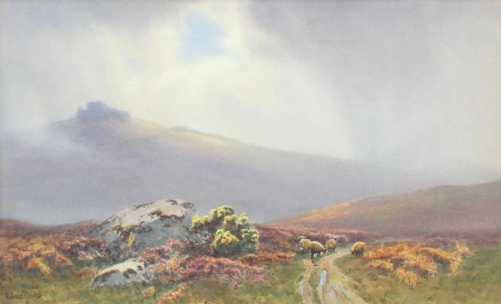Robert Baird - Ripontor