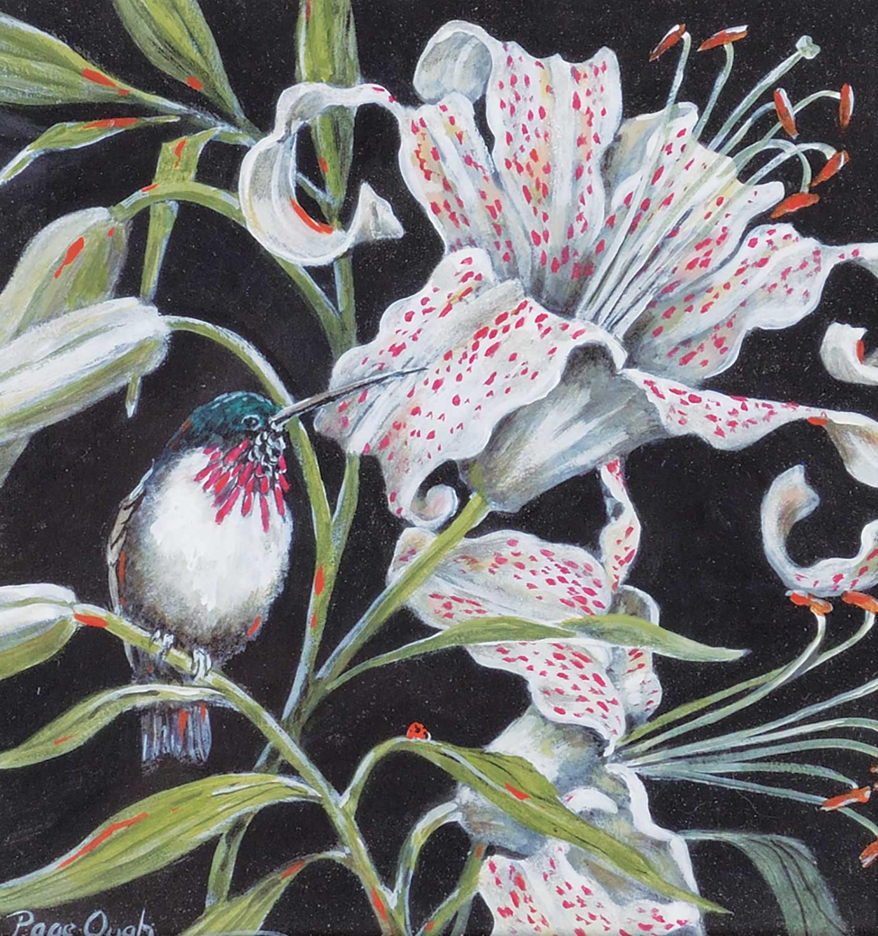 Page Ough (1946) - Stargazer - Calliope Hummingbird