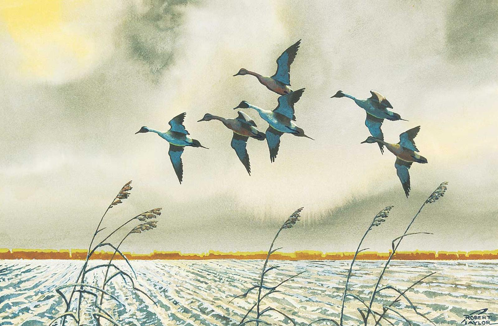 Robert Percival DePutron Taylor - Untitled - Six Pintails Taking Flight