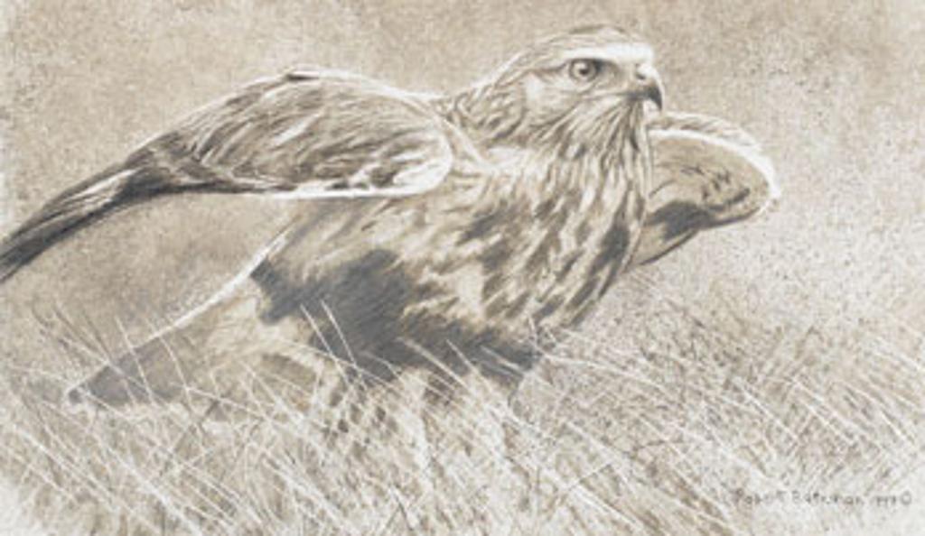 Robert Mclellan Bateman (1930-1922) - Hawk