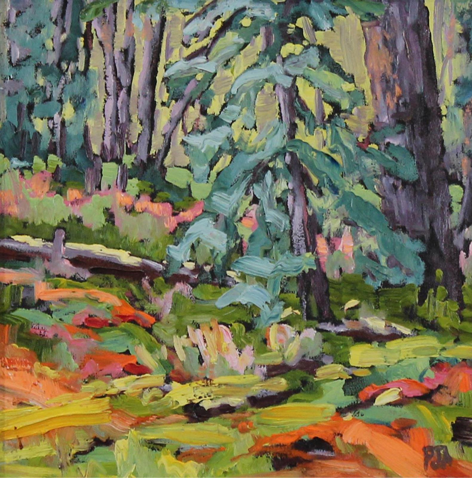 Phyllis J. Anderson - Ode to Mayne Island II