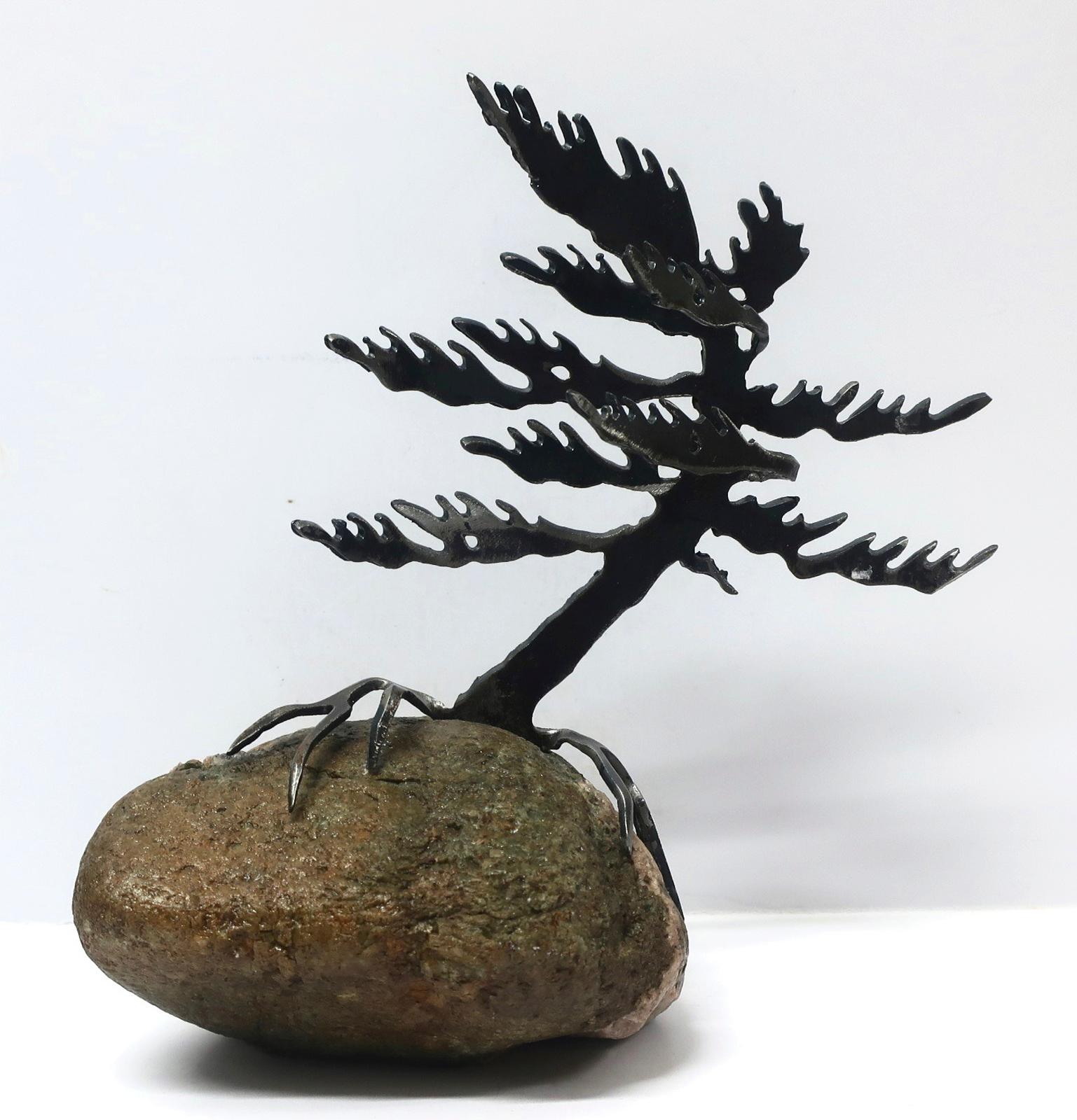 Cathy Mark - Windswept Pine