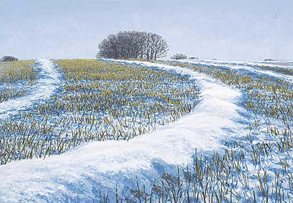 Sylvain Voyer (1939) - White Swaths, Gibbons