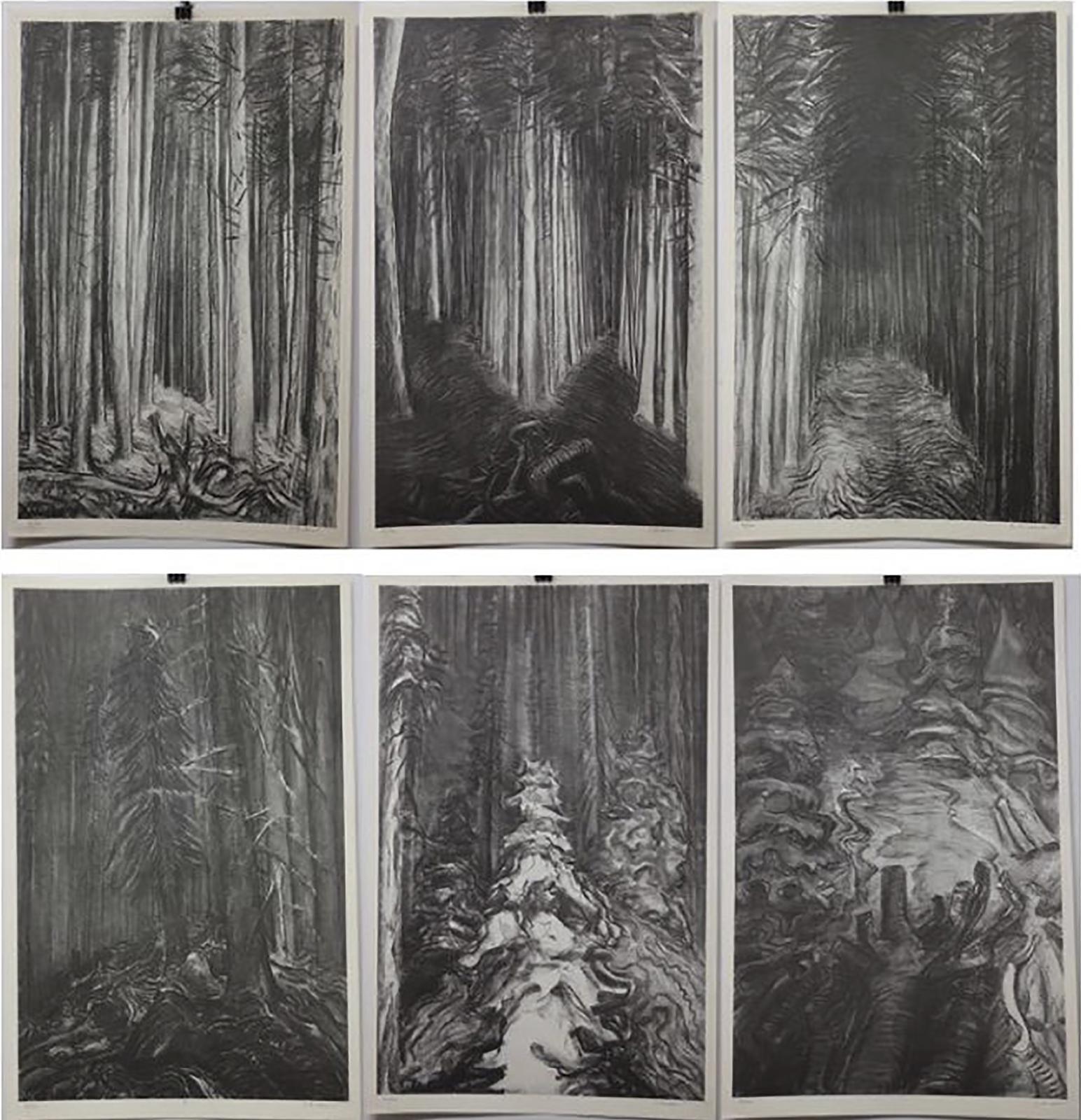 Jack Leaonard Shadbolt (1909-1998) - 1 - 15 (The Hornby Suite - Homage To Emily Carr)