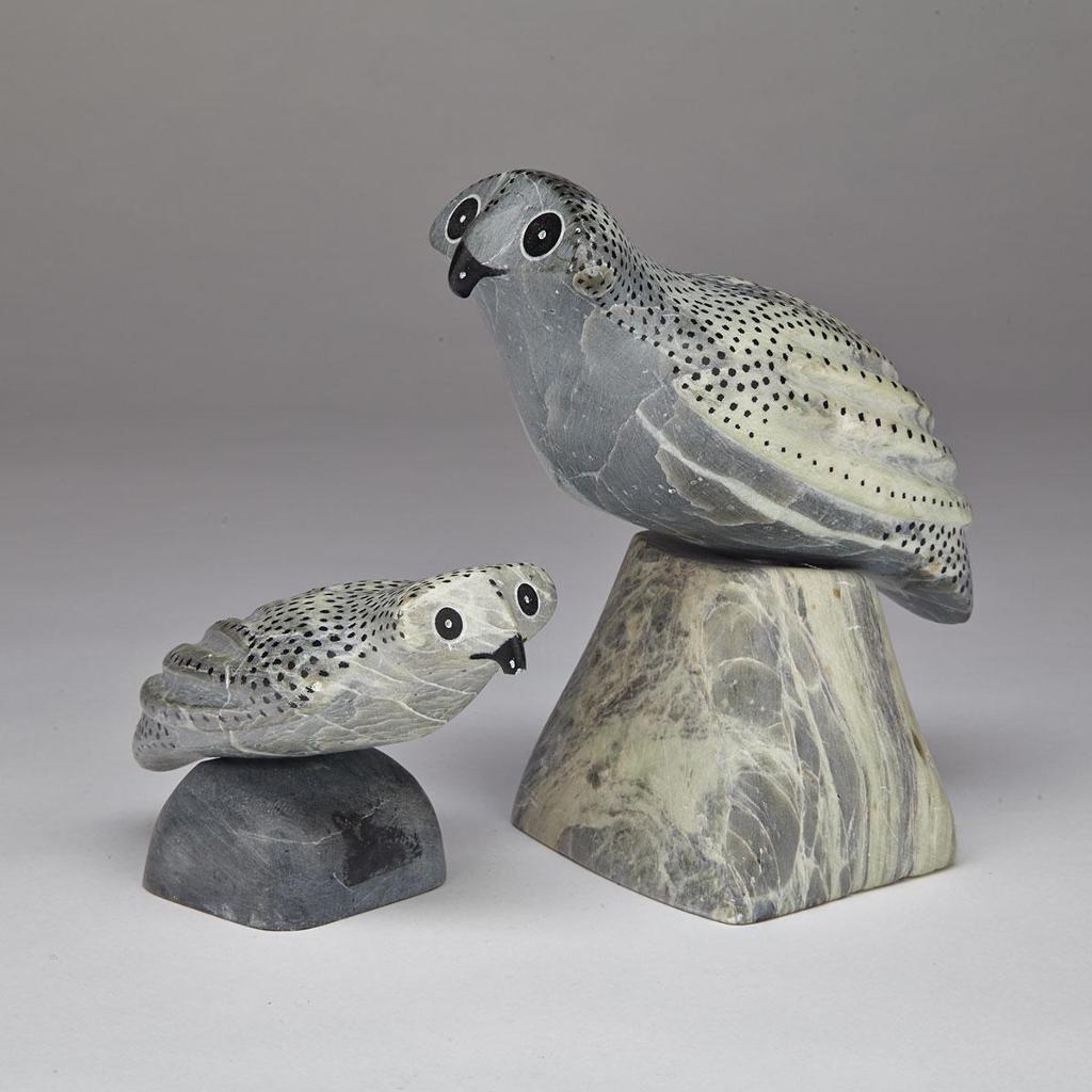 Asaina - Two Owls On Bases