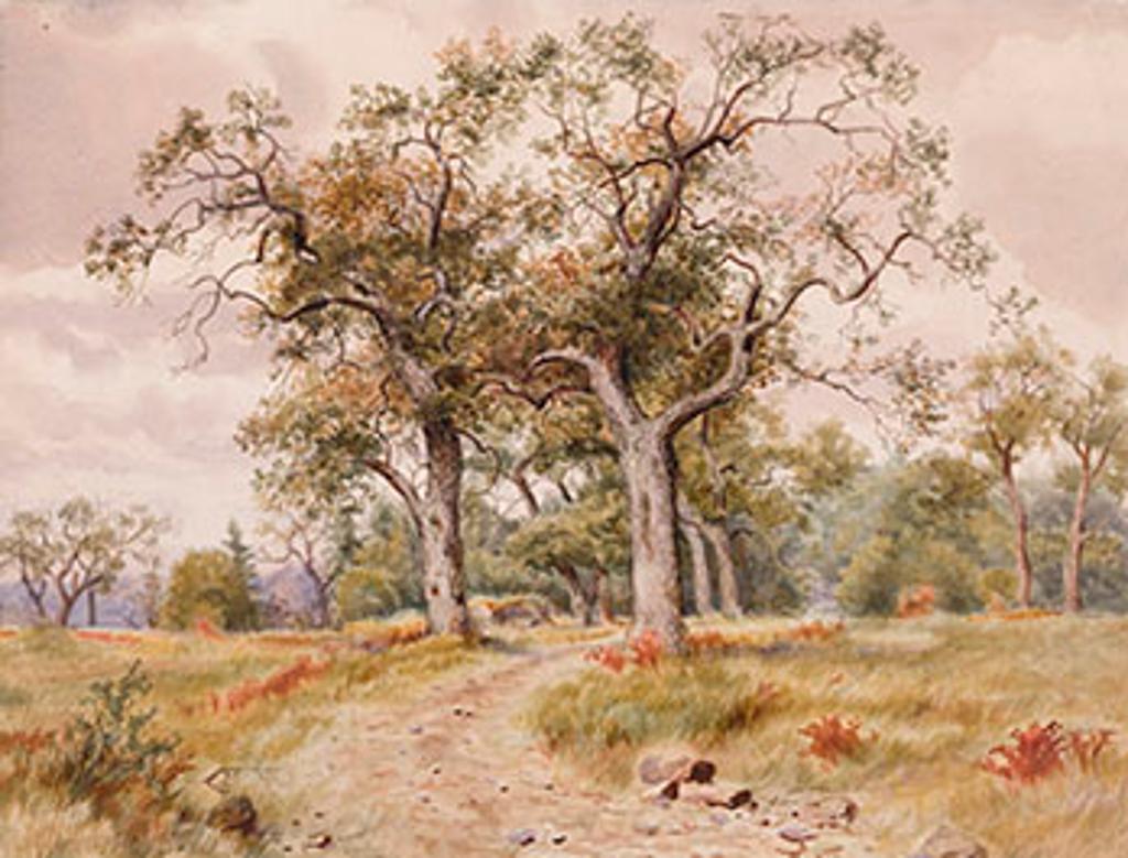 Thomas Mower Martin (1838-1934) - Beacon Hill Park