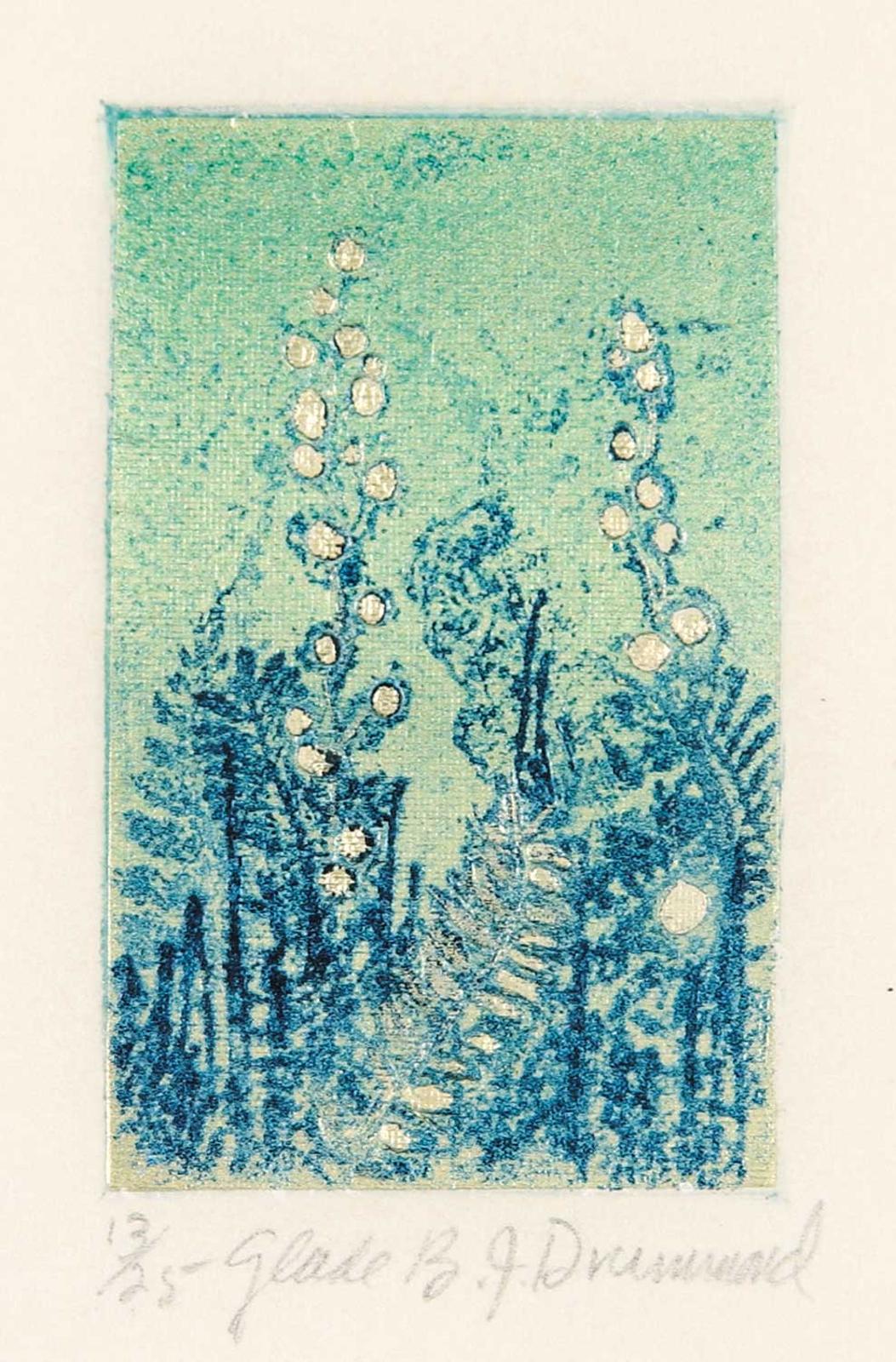 B.J Drummond - Glade #13/25