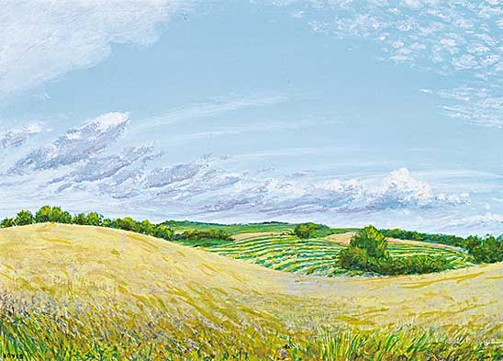 Sylvain Voyer (1939) - Swaths and Grasses