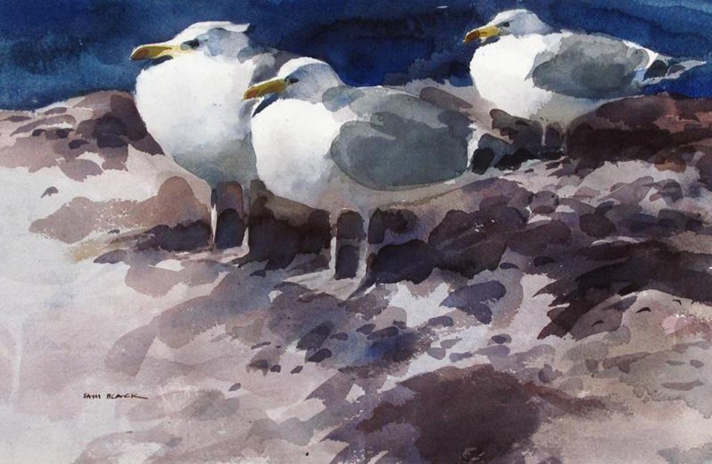 Sam Black (1913-1998) - Favoured Rock