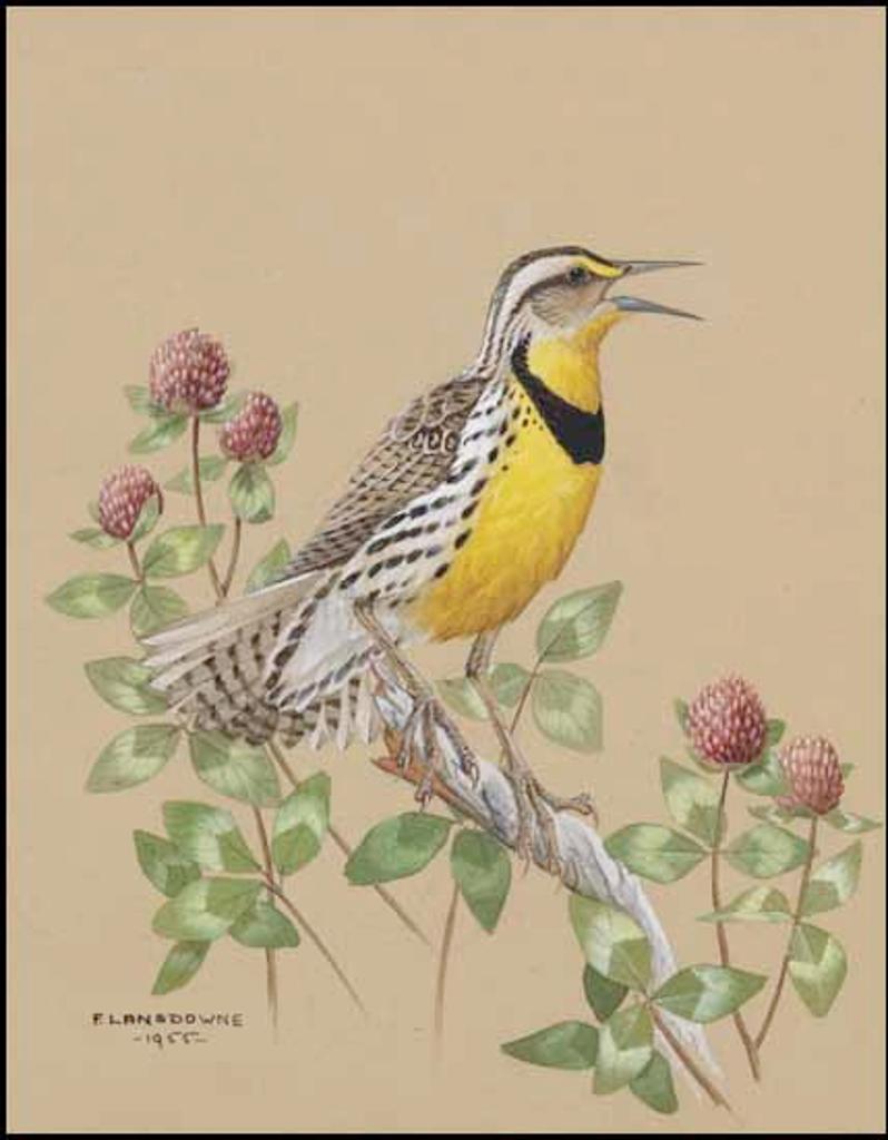 James Fenwick Lansdowne (1937-2008) - Meadowlark