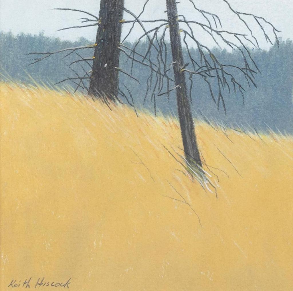 Keith Hiscock (1951) - Blue Woods