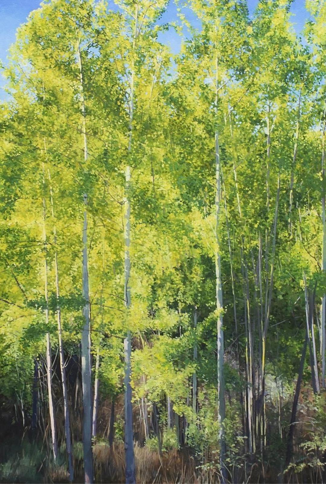 Robert Furlong - Summer Birches