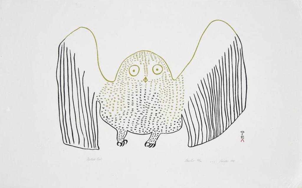 Pauta Saila (1916-2009) - Startled Owl