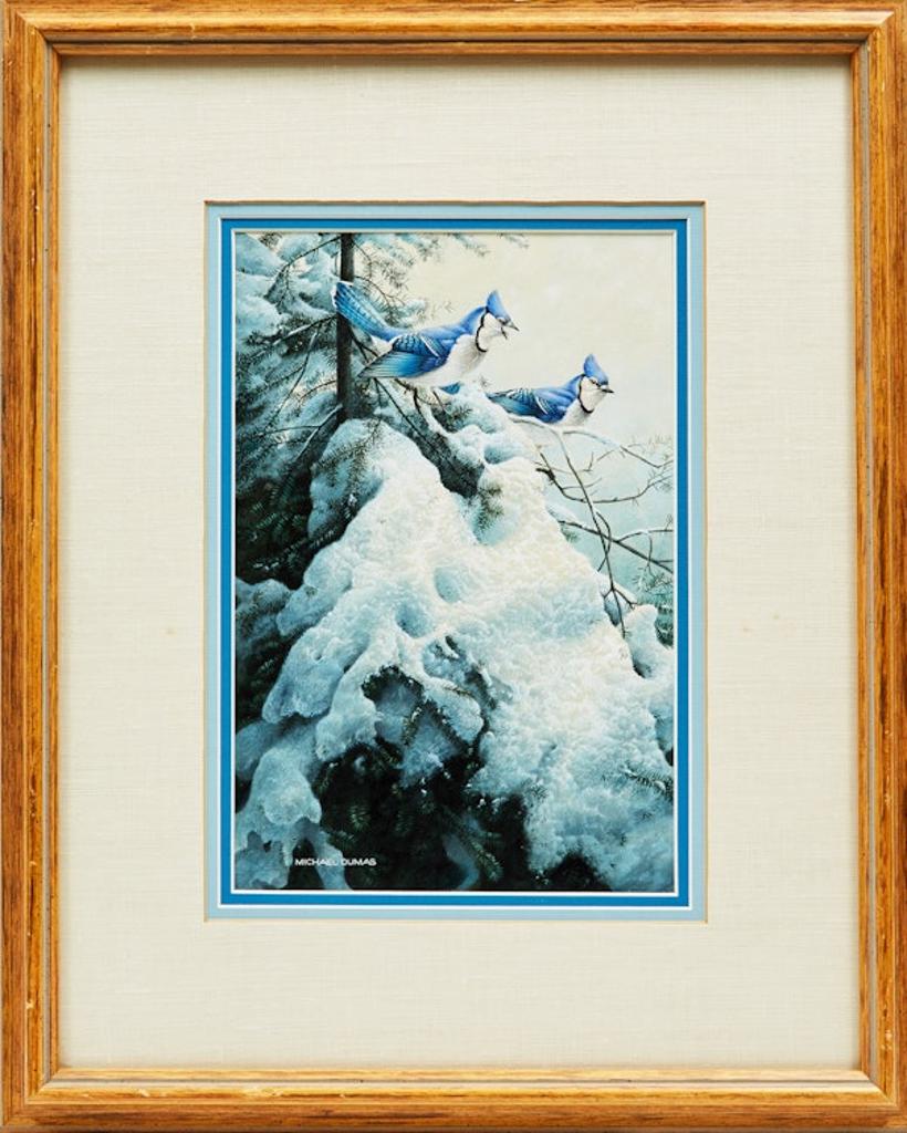 Michael Dumas (1950) - Blue Jays