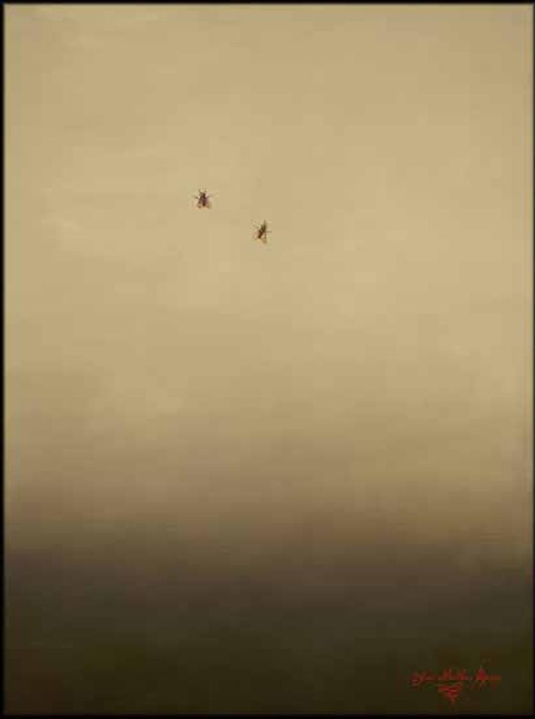 Yana Movchan (1971) - Fly on the Wall