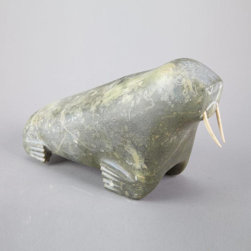 Kilula - Walrus