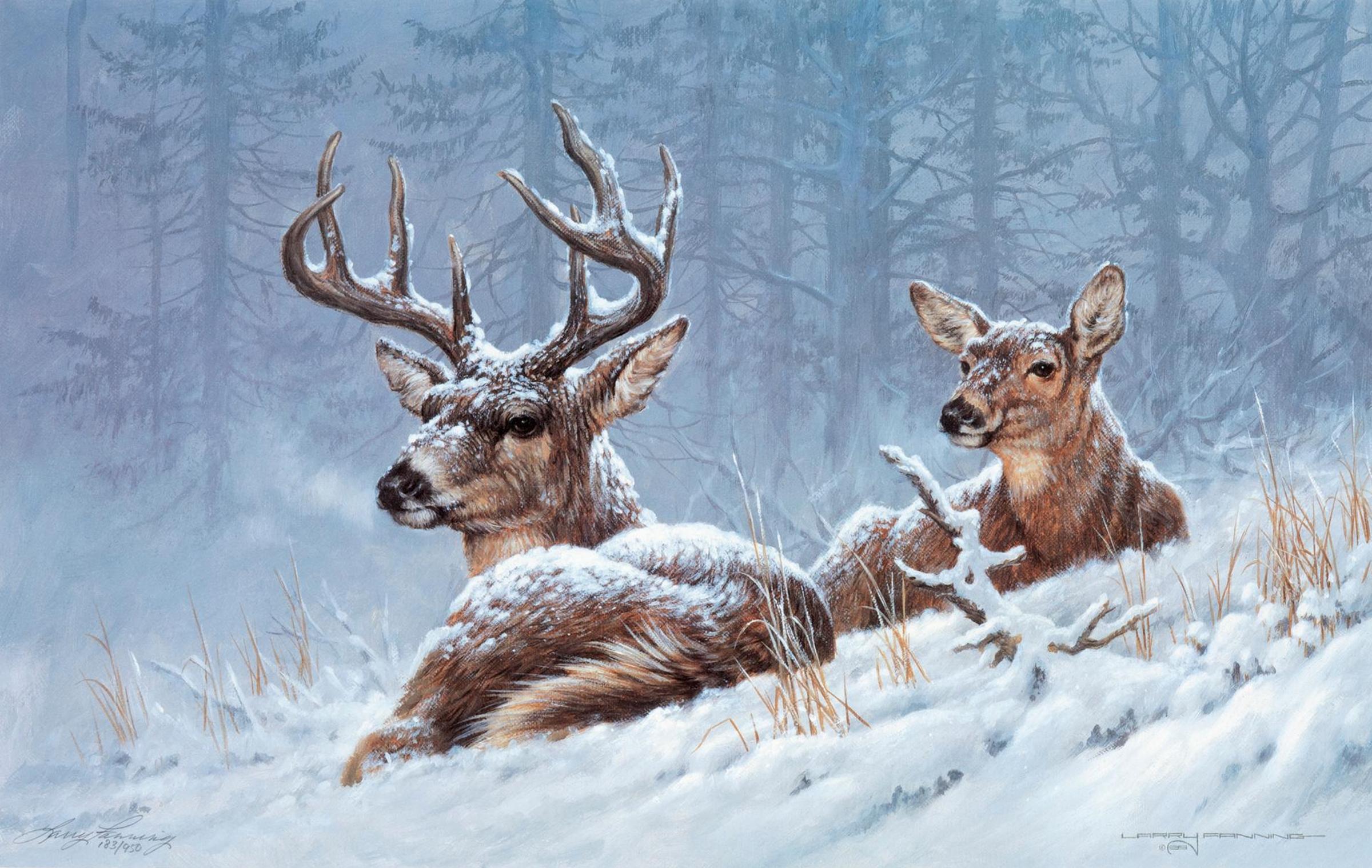 Larry Fanning (1938-2014) - Bedded Down - Whitetail Deer
