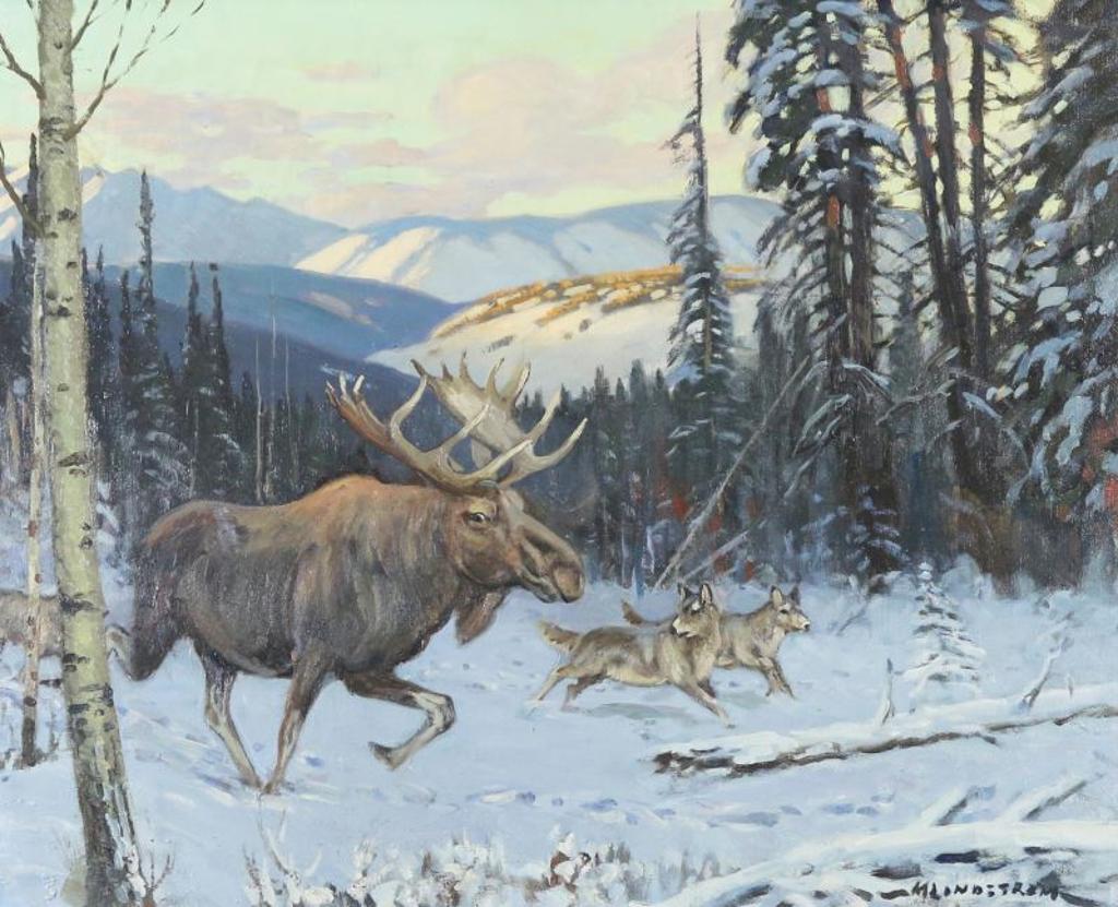 Matt Lindstrom (1890-1975) - Moose
