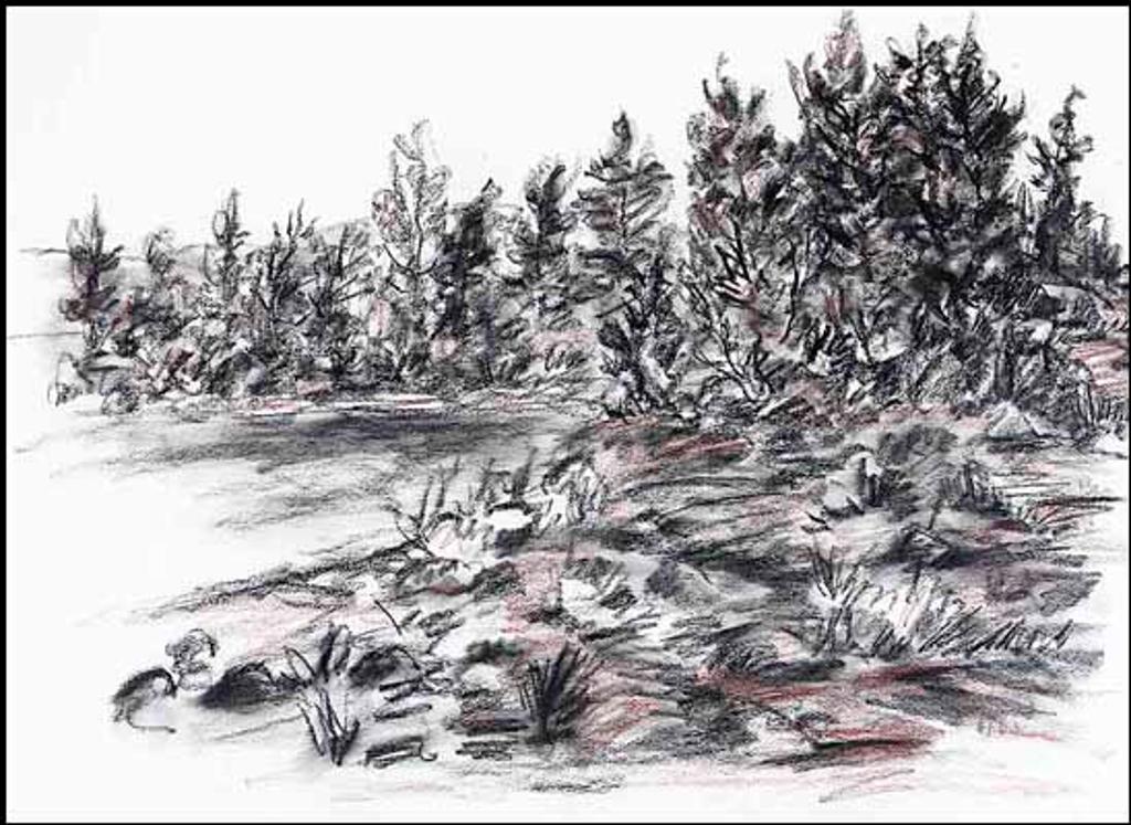 Ronald L. (Ron) Myren (1937-2003) - Untitled B-D-3 (01092/2013-1990)