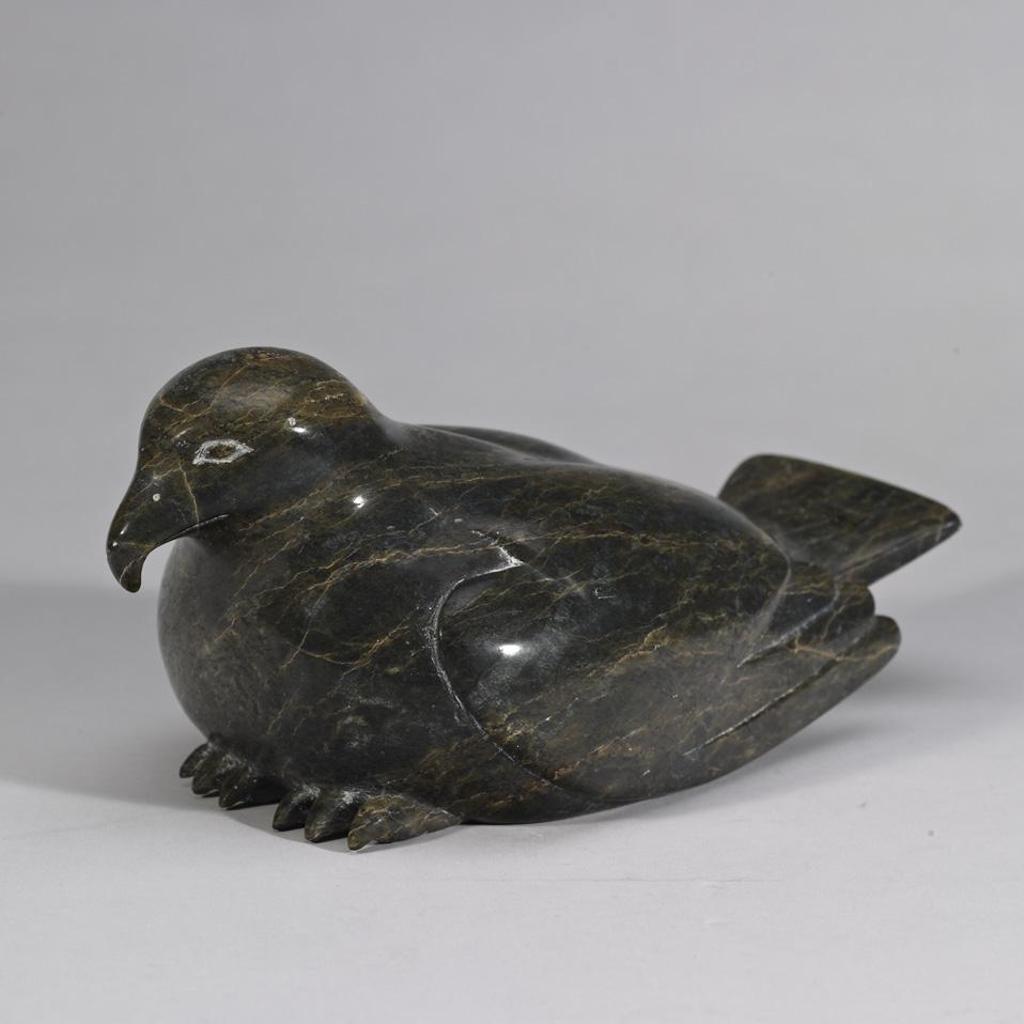 Oviloo Tunnillie (1949-2014) - Bird