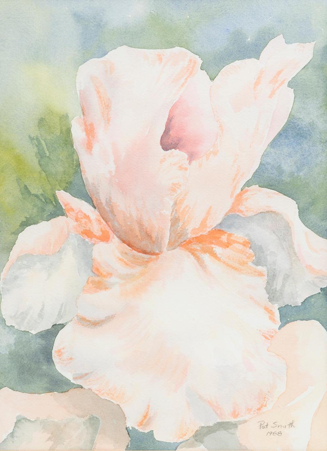 Pat Smith - Untitled