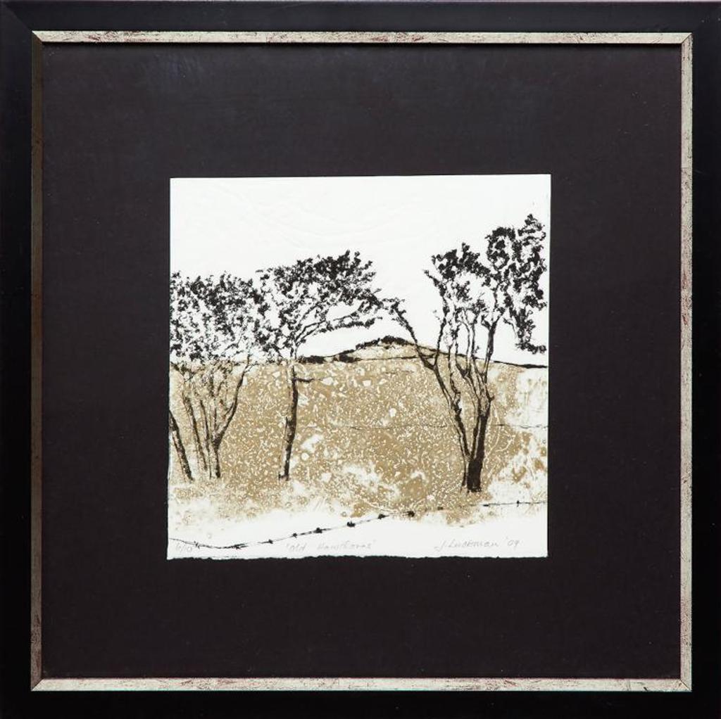 J. Luckman - Old Hawthorns