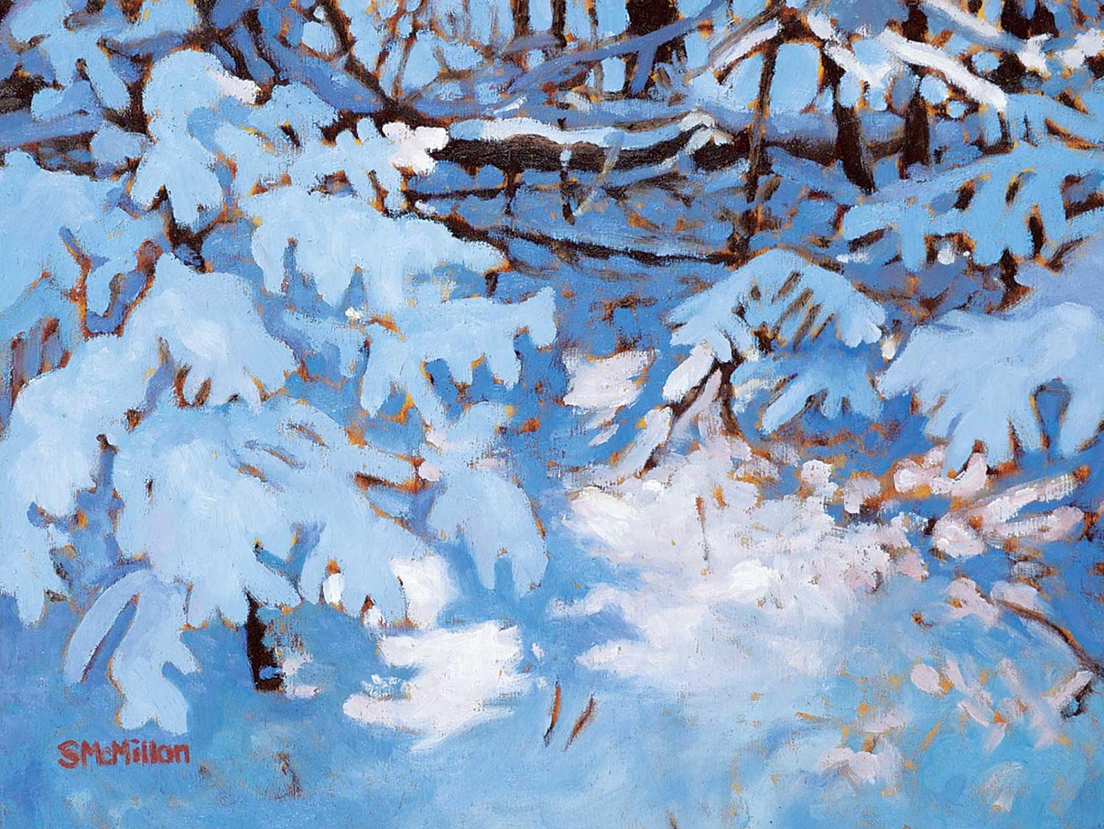 Shelley McMillan - Coat of Snow
