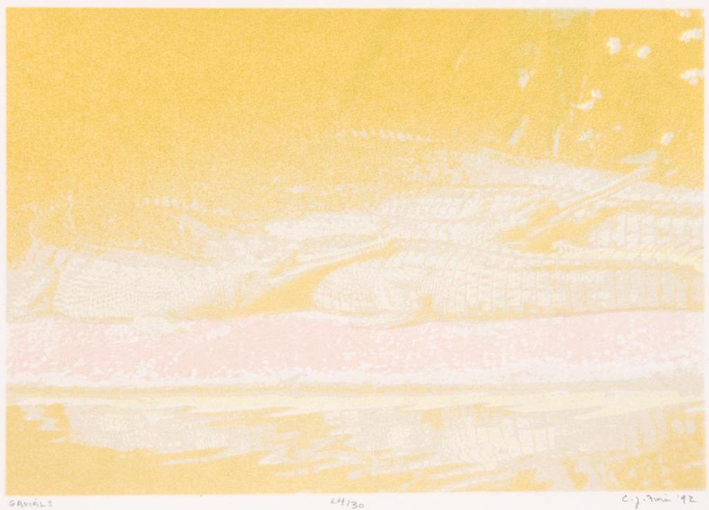 Christopher J. Finn (1950) - Gavials