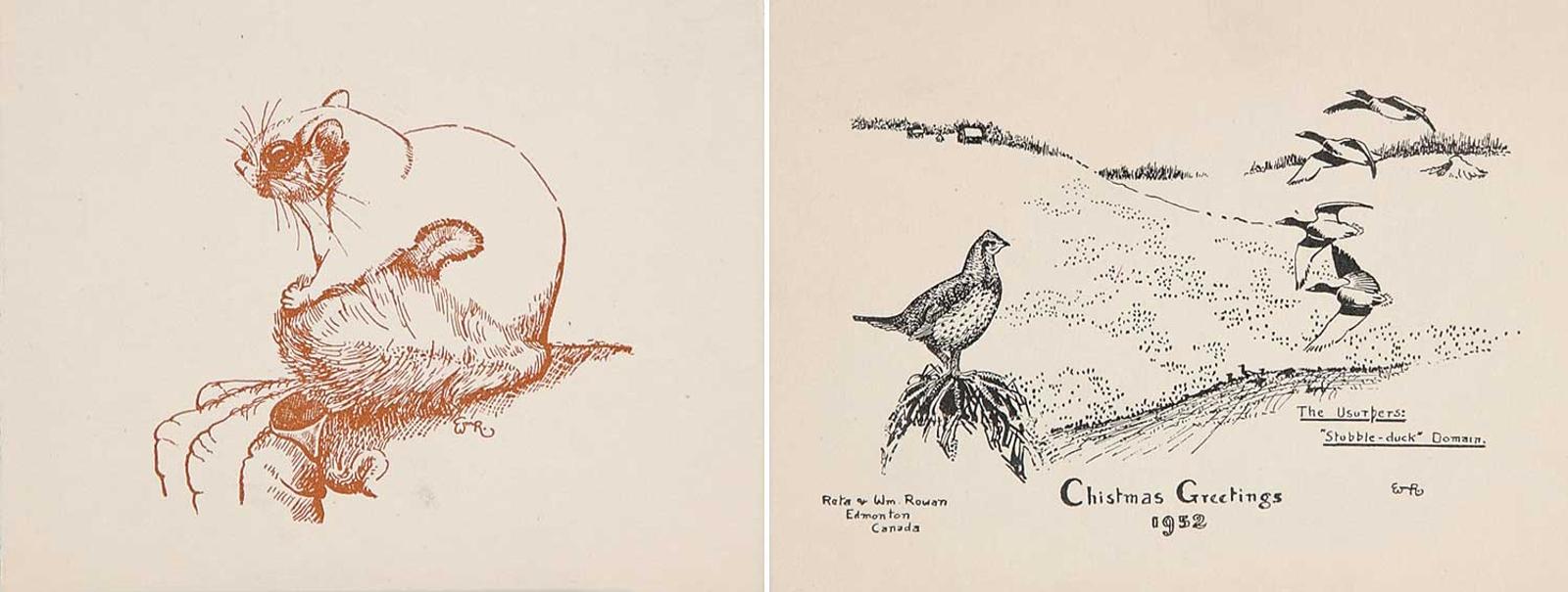 William Rowan - Stubble Duck